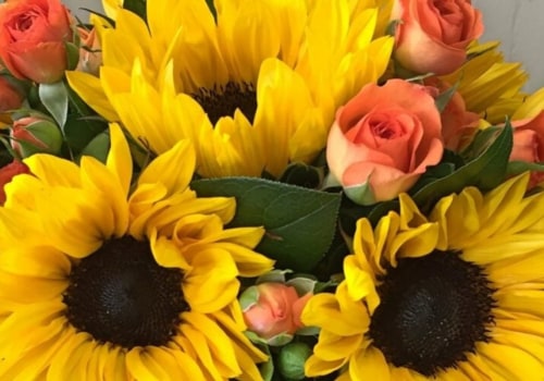 Does Philadelphia Flower Company Offer a Loyalty Program?
